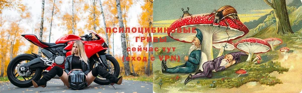 эйфоретик Алзамай