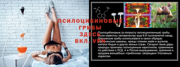 эйфоретик Алзамай