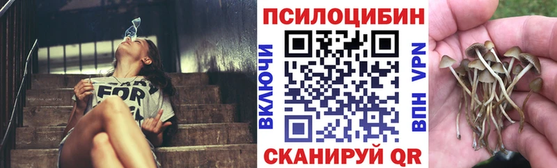 Псилоцибиновые грибы GOLDEN TEACHER как найти закладки Благовещенск